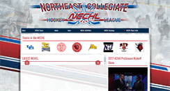 Desktop Screenshot of nechlhockey.org